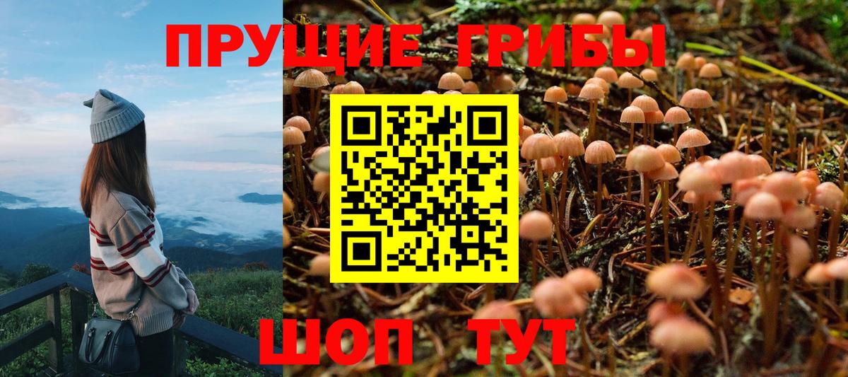 Чита  Псилоцибиновые грибы Cubensis  Вход с VPN  Псилоцибиновые грибы мухоморы 