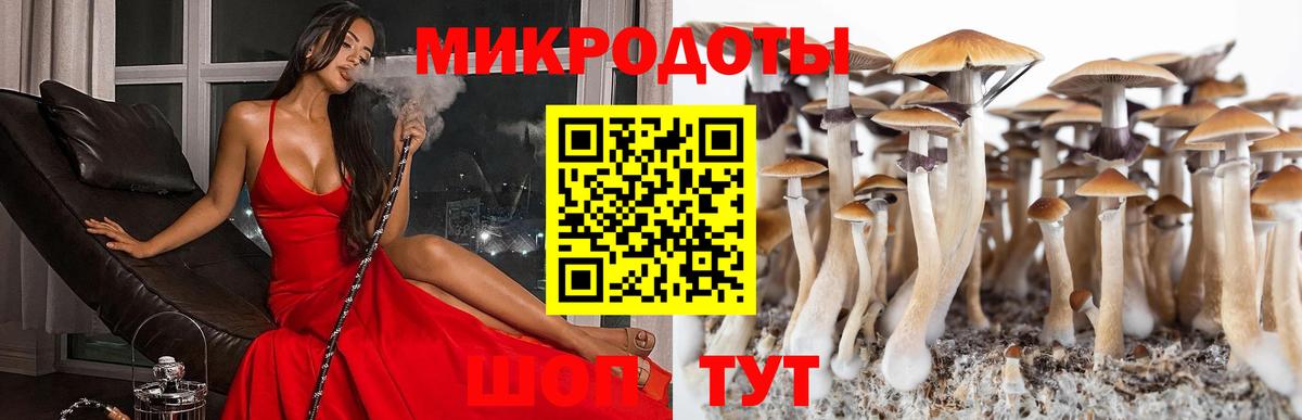 Псилоцибиновые грибы MAGIC MUSHROOMS Чита